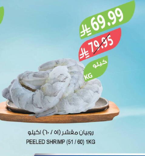 available at المزرعة in مملكة العربية السعودية, السعودية, سعودية - سيهات