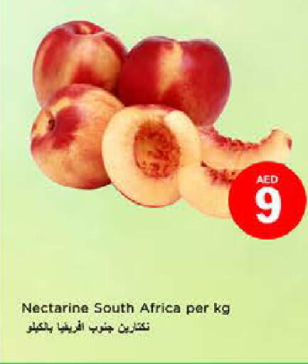 Nectarine from South Africa available at Nesto Hypermarket in UAE - Fujairah