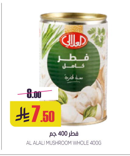 Mushroom available at سبت in مملكة العربية السعودية, السعودية, سعودية - بريدة
