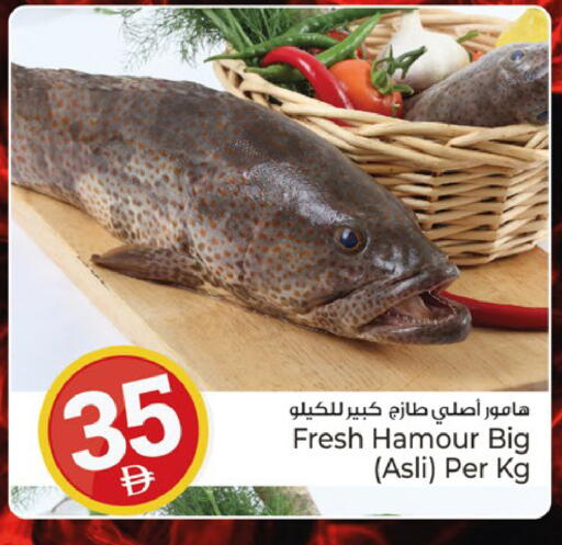 available at كنز هايبرماركت in الإمارات العربية المتحدة , الامارات - الشارقة / عجمان