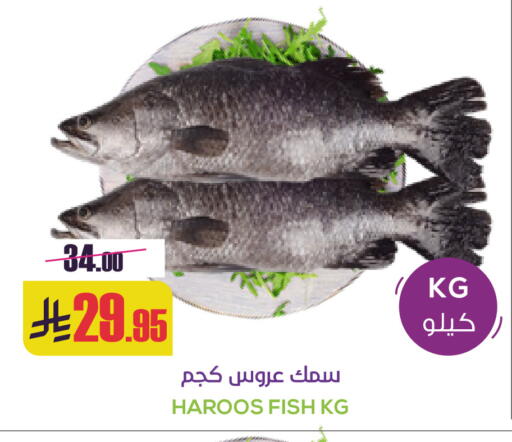 available at سبت in مملكة العربية السعودية, السعودية, سعودية - بريدة