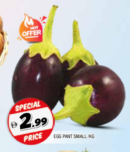 available at المدينة in الإمارات العربية المتحدة , الامارات - الشارقة / عجمان