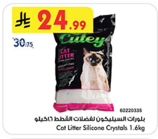 available at بن داود in مملكة العربية السعودية, السعودية, سعودية - خميس مشيط