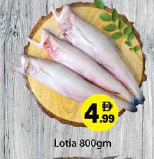 available at جلف هايبرماركت ذ.م.م in الإمارات العربية المتحدة , الامارات - رَأْس ٱلْخَيْمَة