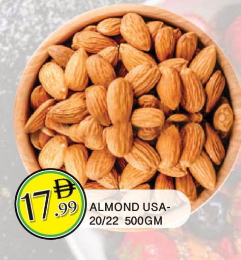 available at المدينة in الإمارات العربية المتحدة , الامارات - الشارقة / عجمان