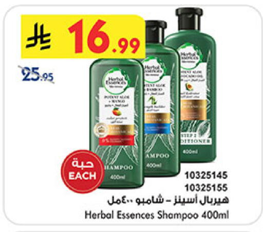 available at بن داود in مملكة العربية السعودية, السعودية, سعودية - المدينة المنورة