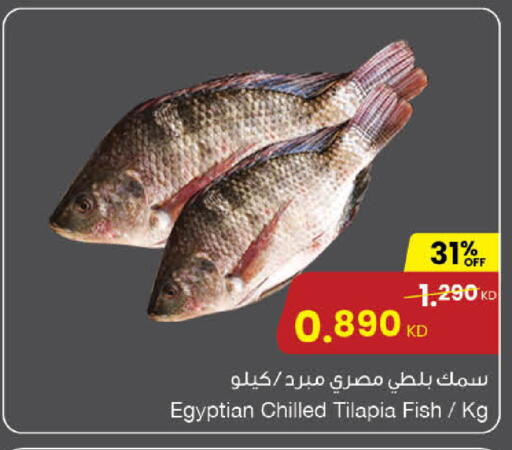 available at مركز سلطان in الكويت - محافظة الأحمدي