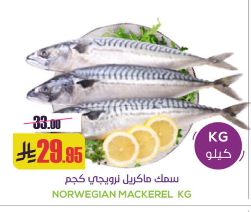 available at سبت in مملكة العربية السعودية, السعودية, سعودية - بريدة