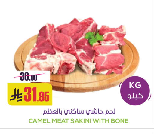 available at سبت in مملكة العربية السعودية, السعودية, سعودية - بريدة