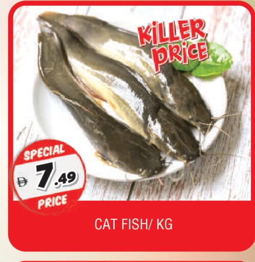 available at AL MADINA in UAE - Sharjah / Ajman