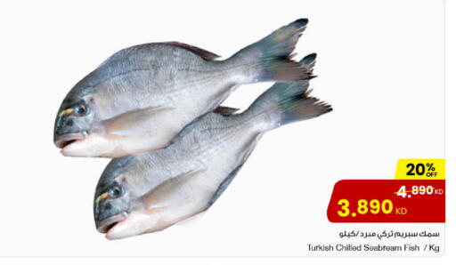 available at مركز سلطان in الكويت - محافظة الأحمدي