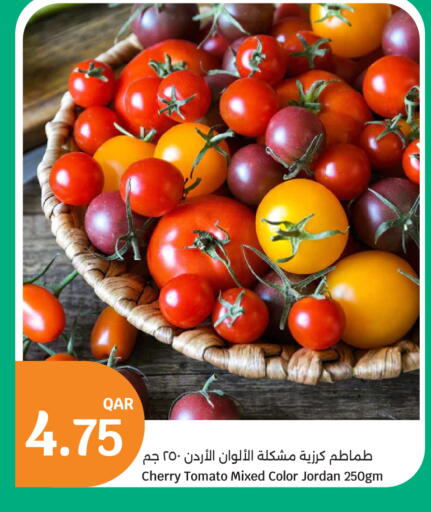Cherry Cherry tomato available at سيتي هايبرماركت in قطر - الدوحة