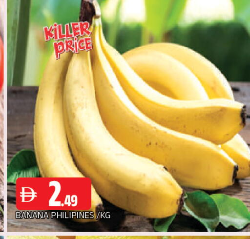 Banana available at المدينة in الإمارات العربية المتحدة , الامارات - الشارقة / عجمان