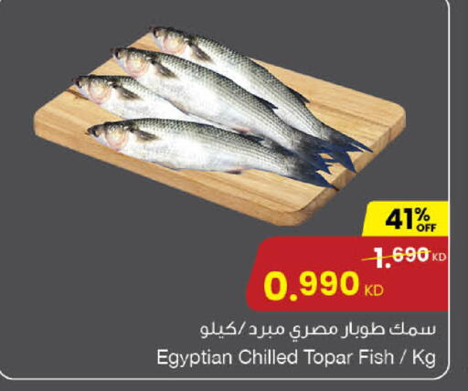 available at مركز سلطان in الكويت - محافظة الأحمدي