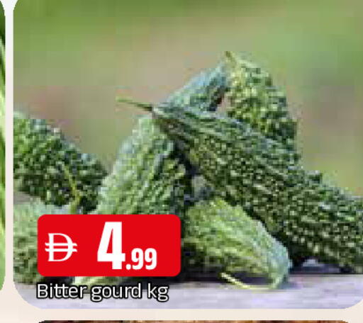 available at المدينة in الإمارات العربية المتحدة , الامارات - الشارقة / عجمان