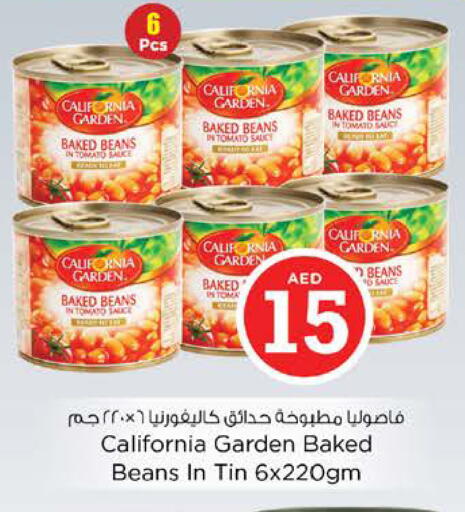 Tomato available at Nesto Hypermarket in UAE - Sharjah / Ajman