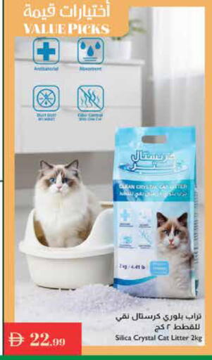 available at إسطنبول سوبرماركت in الإمارات العربية المتحدة , الامارات - رَأْس ٱلْخَيْمَة