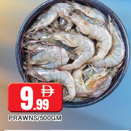 available at المدينة in الإمارات العربية المتحدة , الامارات - الشارقة / عجمان