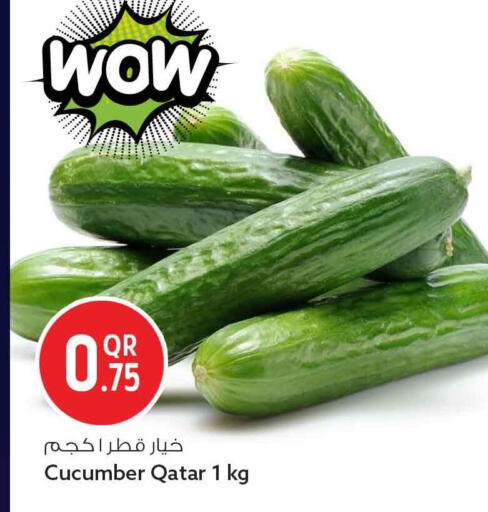 Cucumber from Qatar available at سفاري هايبر ماركت in قطر - الشمال