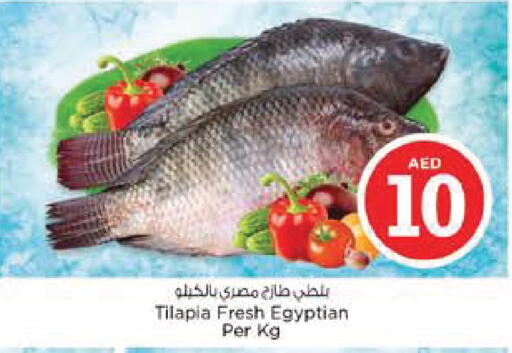 available at نستو هايبرماركت in الإمارات العربية المتحدة , الامارات - أبو ظبي