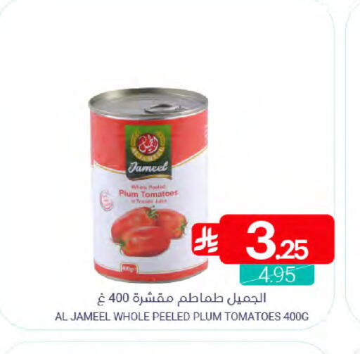 Plum Tomato available at Muntazah Markets in KSA, Saudi Arabia, Saudi - Dammam