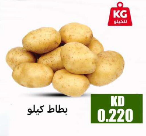 available at شركة سوق ميم المركزي  in الكويت - محافظة الأحمدي