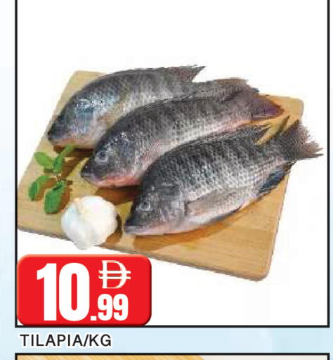 available at المدينة in الإمارات العربية المتحدة , الامارات - الشارقة / عجمان