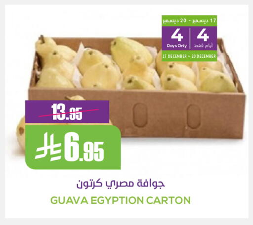 Guava available at سبت in مملكة العربية السعودية, السعودية, سعودية - بريدة