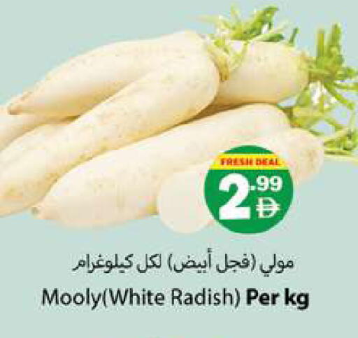 Radish available at زين مارت سوبرماركت in الإمارات العربية المتحدة , الامارات - رَأْس ٱلْخَيْمَة