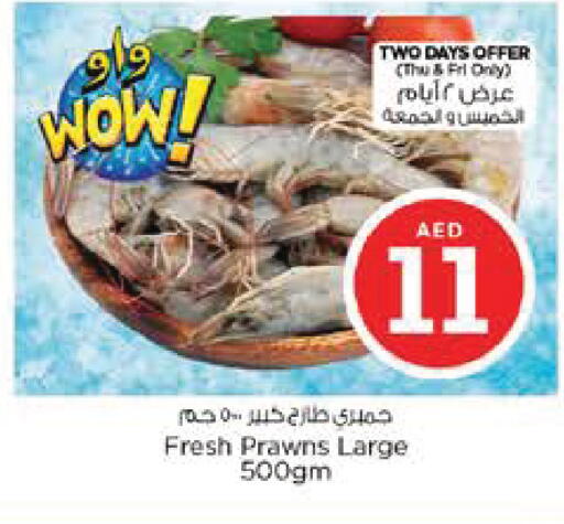 available at نستو هايبرماركت in الإمارات العربية المتحدة , الامارات - أبو ظبي