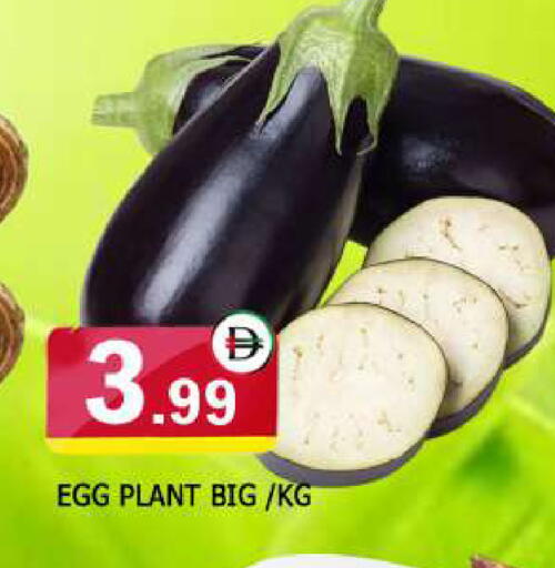 available at AL MADINA in UAE - Sharjah / Ajman