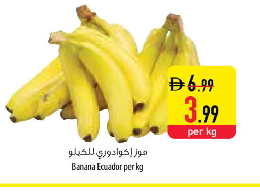 Banana from Ecuador available at السفير ماركت in الإمارات العربية المتحدة , الامارات - أم القيوين‎