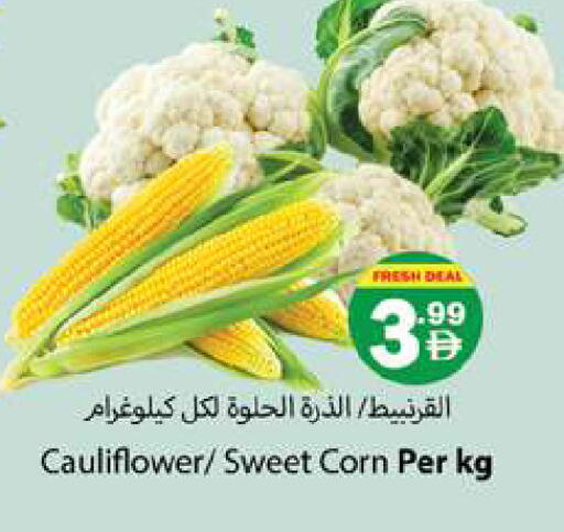Cauliflower available at جلف هايبرماركت ذ.م.م in الإمارات العربية المتحدة , الامارات - رَأْس ٱلْخَيْمَة