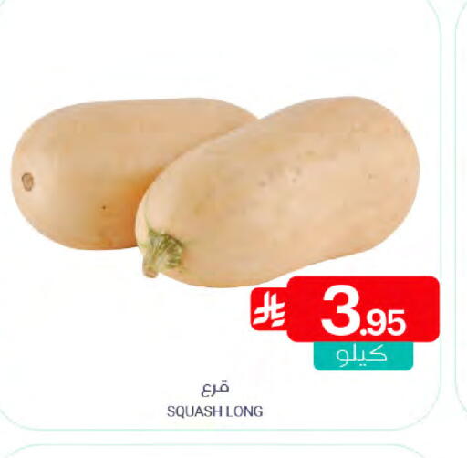 Squash available at Muntazah Markets in KSA, Saudi Arabia, Saudi - Saihat