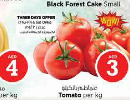 Tomato available at نستو هايبرماركت in الإمارات العربية المتحدة , الامارات - الشارقة / عجمان