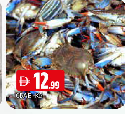 available at المدينة in الإمارات العربية المتحدة , الامارات - الشارقة / عجمان