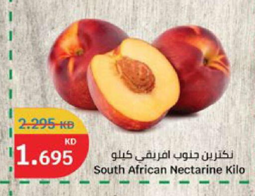 Nectarine from South Africa available at سيتي هايبرماركت in الكويت - محافظة الأحمدي