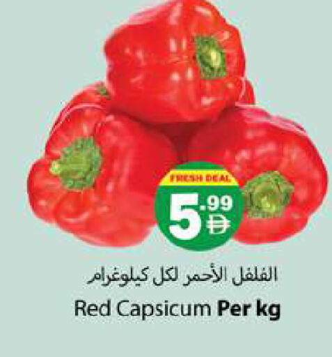 Red Capsicum available at جلف هايبرماركت ذ.م.م in الإمارات العربية المتحدة , الامارات - رَأْس ٱلْخَيْمَة