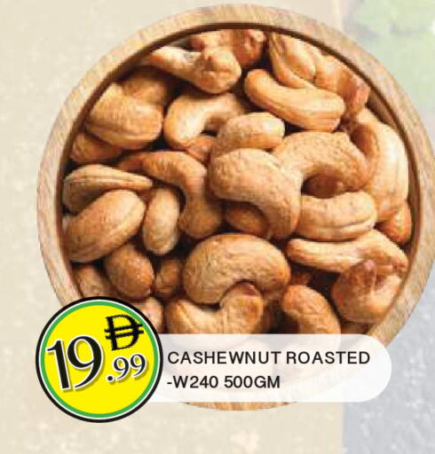 available at المدينة in الإمارات العربية المتحدة , الامارات - الشارقة / عجمان