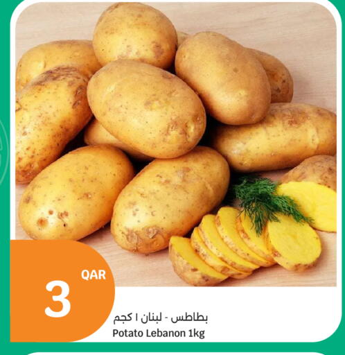 Potato from Lebanon available at سيتي هايبرماركت in قطر - الضعاين
