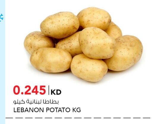 Potato from Lebanon available at  ALNASSER HYPERMARKET in Kuwait - Kuwait City