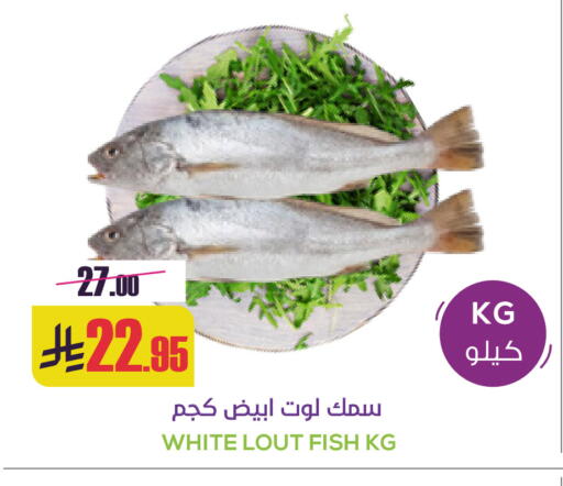 available at سبت in مملكة العربية السعودية, السعودية, سعودية - بريدة