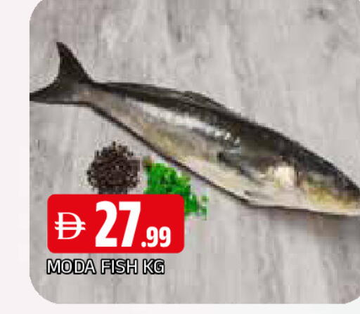 available at AL MADINA in UAE - Sharjah / Ajman