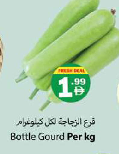 available at جلف هايبرماركت ذ.م.م in الإمارات العربية المتحدة , الامارات - رَأْس ٱلْخَيْمَة