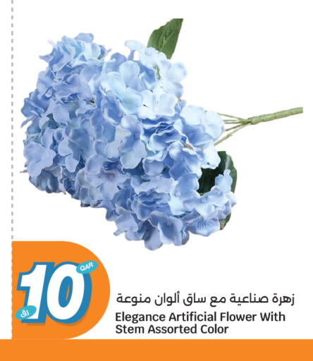 available at سيتي هايبرماركت in قطر - الضعاين