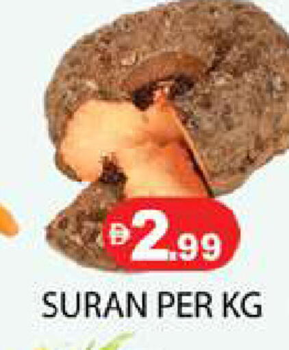 available at زين مارت سوبرماركت in الإمارات العربية المتحدة , الامارات - رَأْس ٱلْخَيْمَة