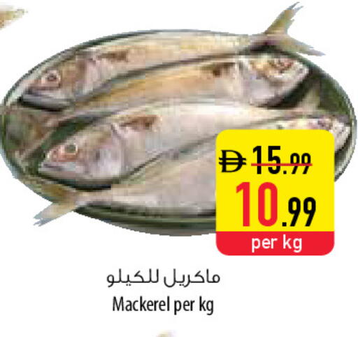 available at السفير ماركت in الإمارات العربية المتحدة , الامارات - ٱلْعَيْن‎