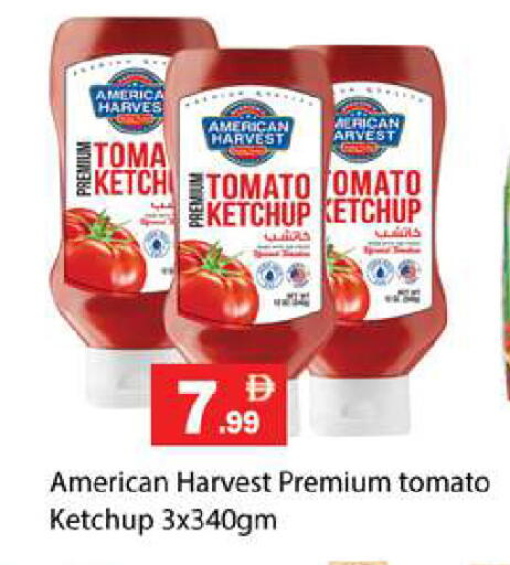 Tomato available at زين مارت سوبرماركت in الإمارات العربية المتحدة , الامارات - رَأْس ٱلْخَيْمَة