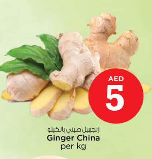 Ginger from China available at نستو هايبرماركت in الإمارات العربية المتحدة , الامارات - الشارقة / عجمان