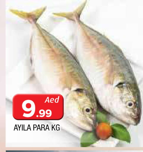 available at AL MADINA in UAE - Sharjah / Ajman